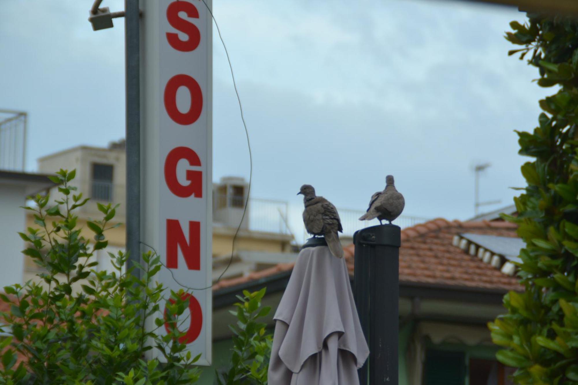 Hotel Bel Sogno Rimini Exterior foto